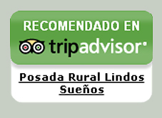 logo tripadvisor