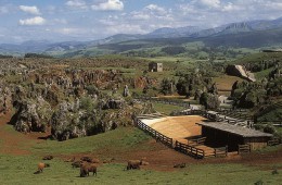 PARQUE DE CABARCENO