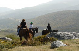 Rutas a caballo