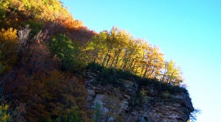 Otoño en Cervalizas