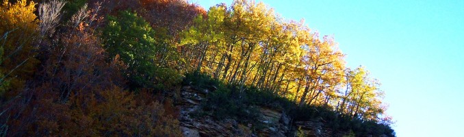 Otoño en Cervalizas