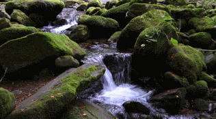 Río en Abiada